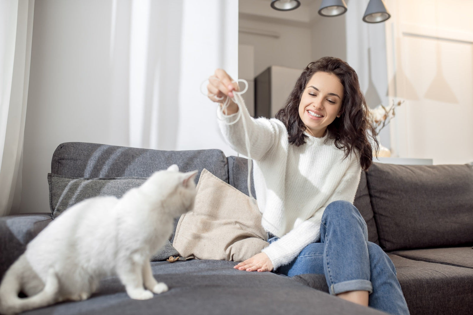 Christmas Gifts for Cat Lovers UK: 10 Personalised Ideas