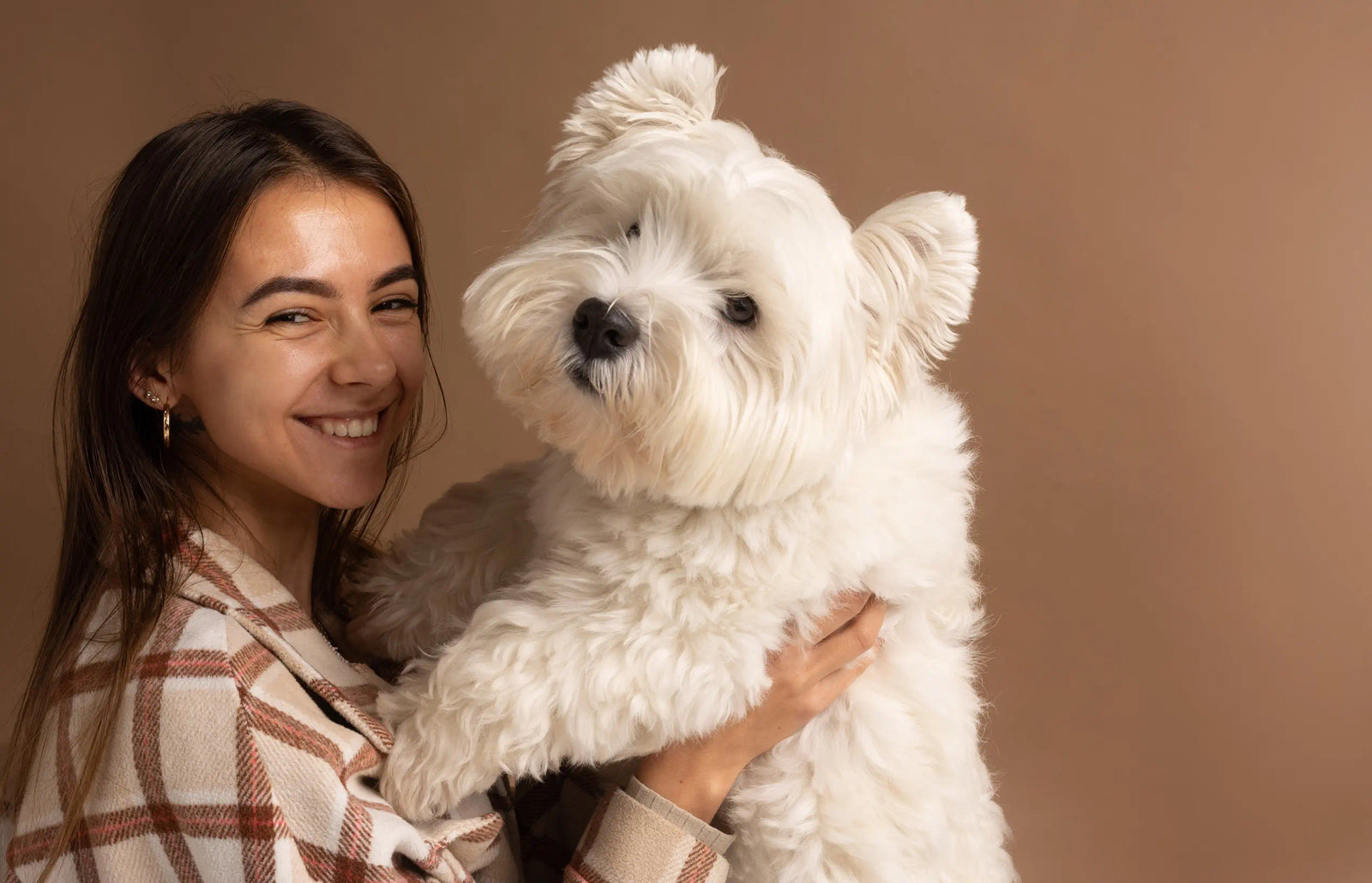How to Photograph a White Dog or Cat for a Custom Pet Portrait