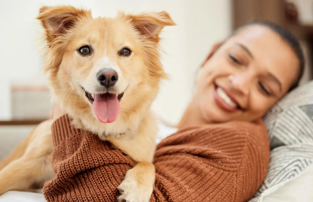 The Best Gift for Animal Lovers: A Custom Pet Portrait