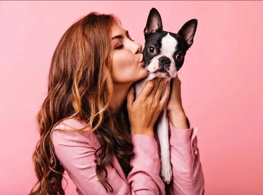 Pet Gifts for Her: Pretty Personalised Ideas for Dog and Cat Lovers