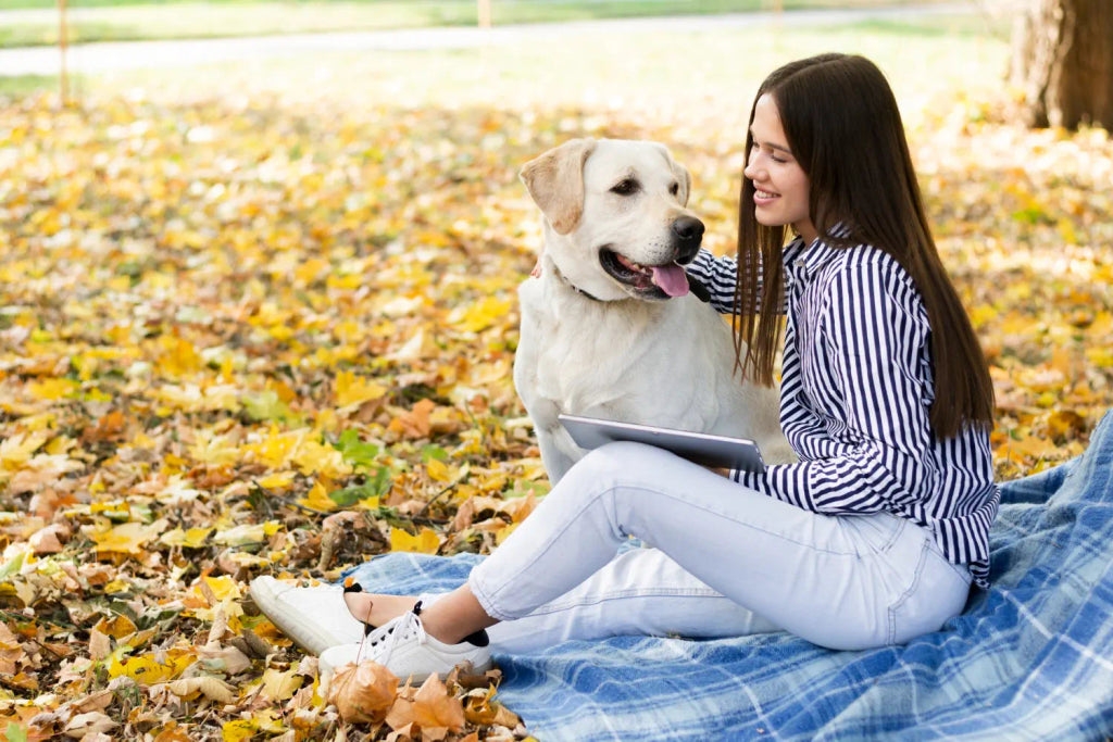 The Best Ways to Celebrate National Wildlife Day with a Pet Portrait