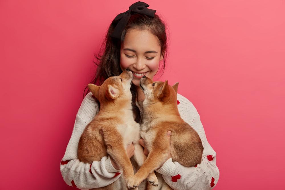 The most exclusive pet gift ideas 