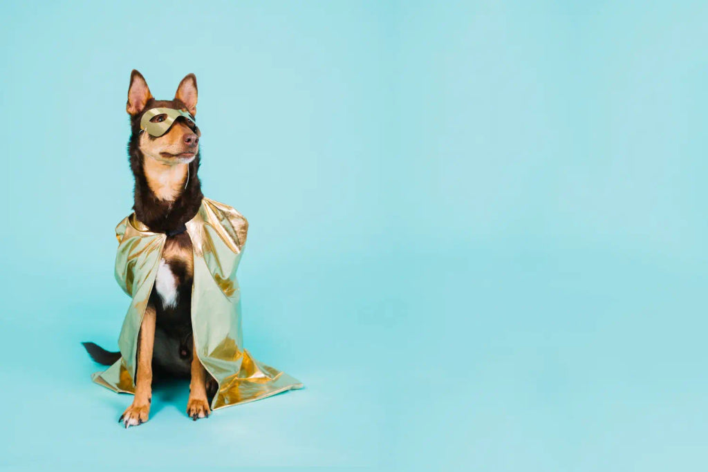 The Perfect Pose: Tips for Capturing Your Pet's Personality for Custom Portraits