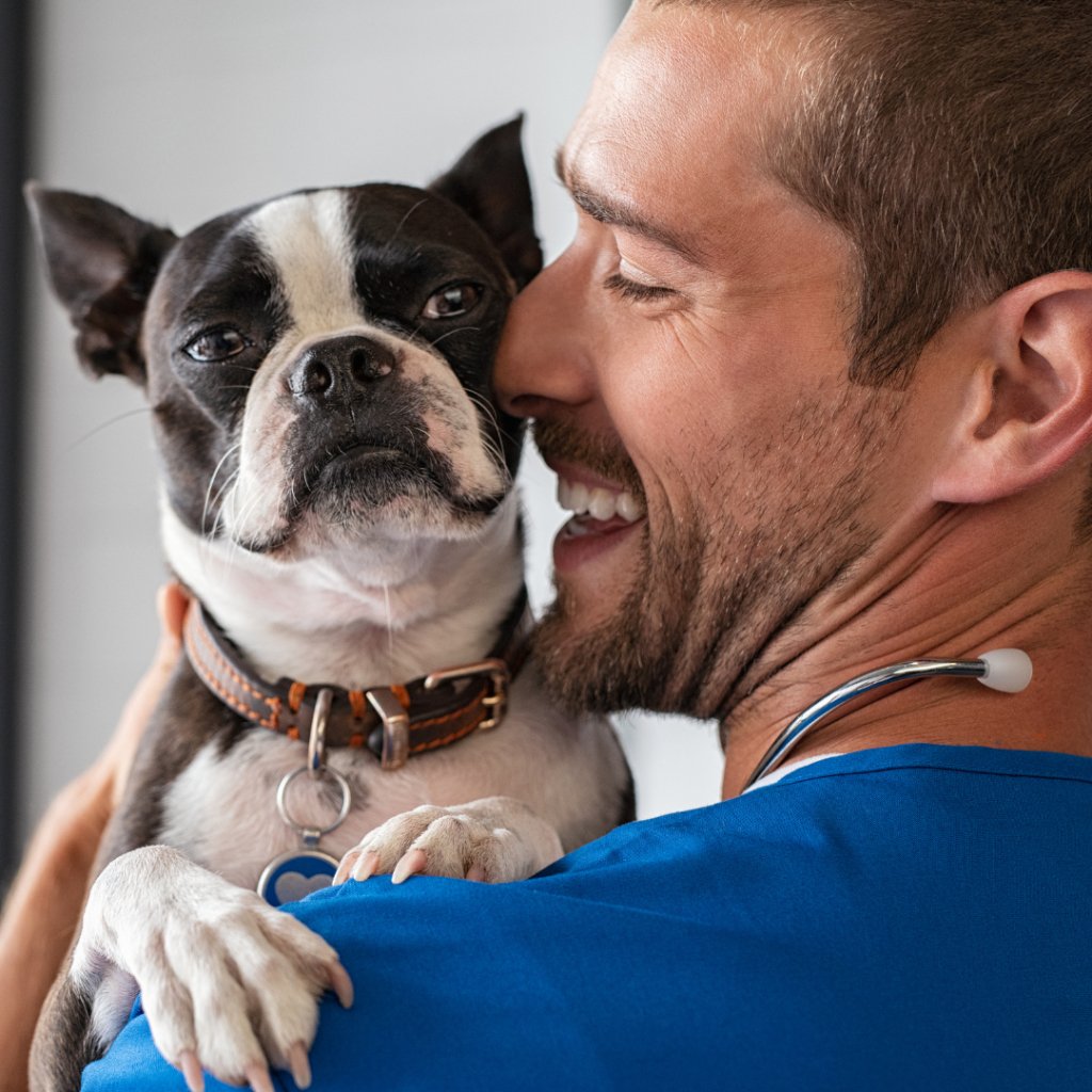 The Right Way to Show Affection to Your Dog