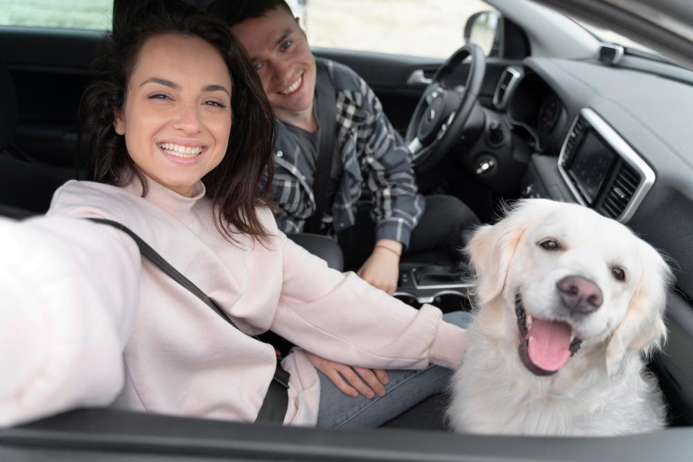 Travelling with your dog – some things you need to remember!