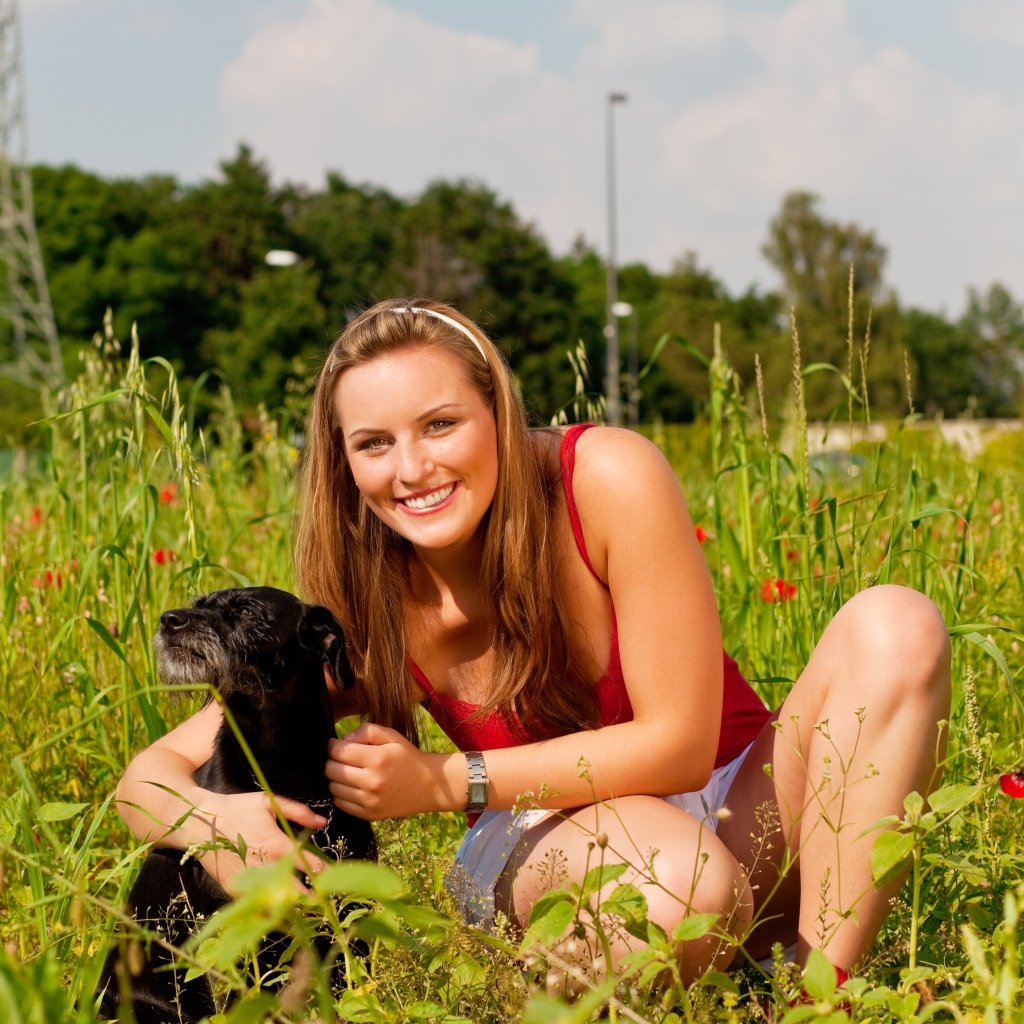 Unleash the Fun with Custom Dog Portraits: Celebrate Your Furry Friend in Style!