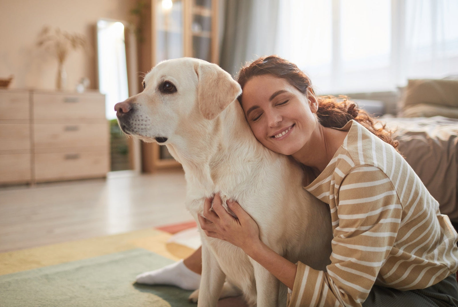 Gotcha Day Gifts for Dogs USA: Personalized Adoption Anniversary Ideas