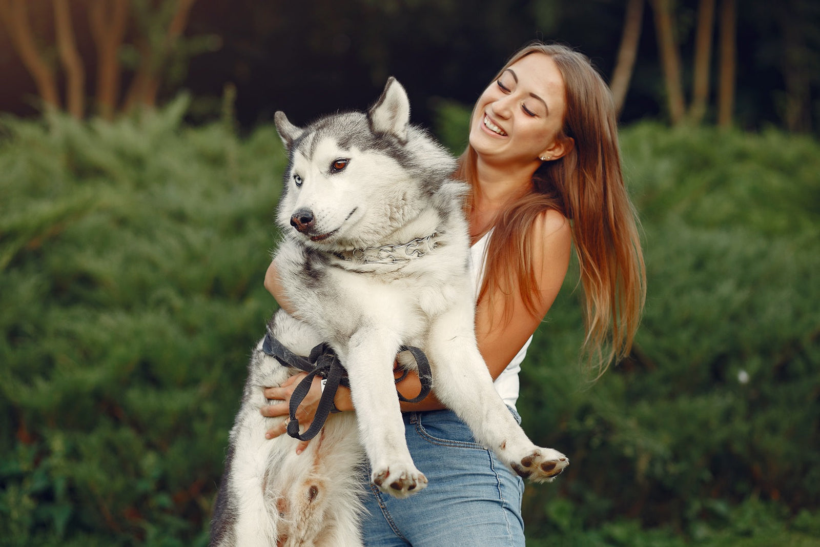 August Bank Holiday Pet Photo Checklist for a Custom Portrait