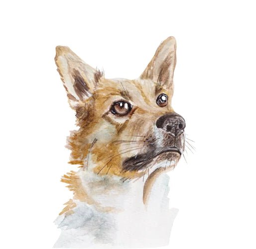 Your Pet Portrait: 5 Best Styles