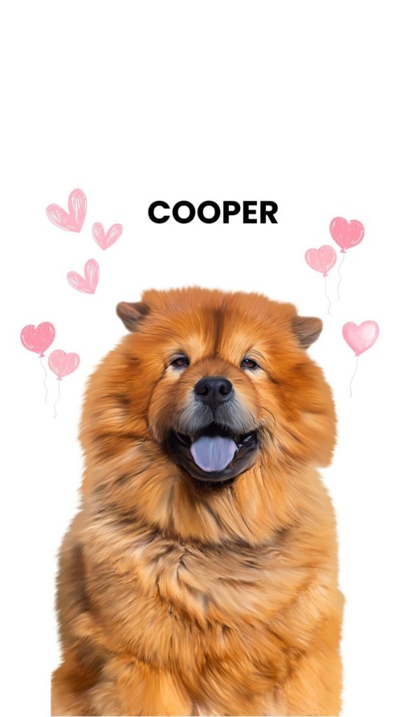 Heartthrob: Custom Minimalist One Pet