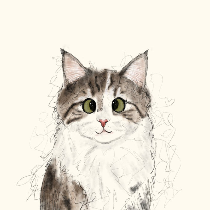 Scribble
