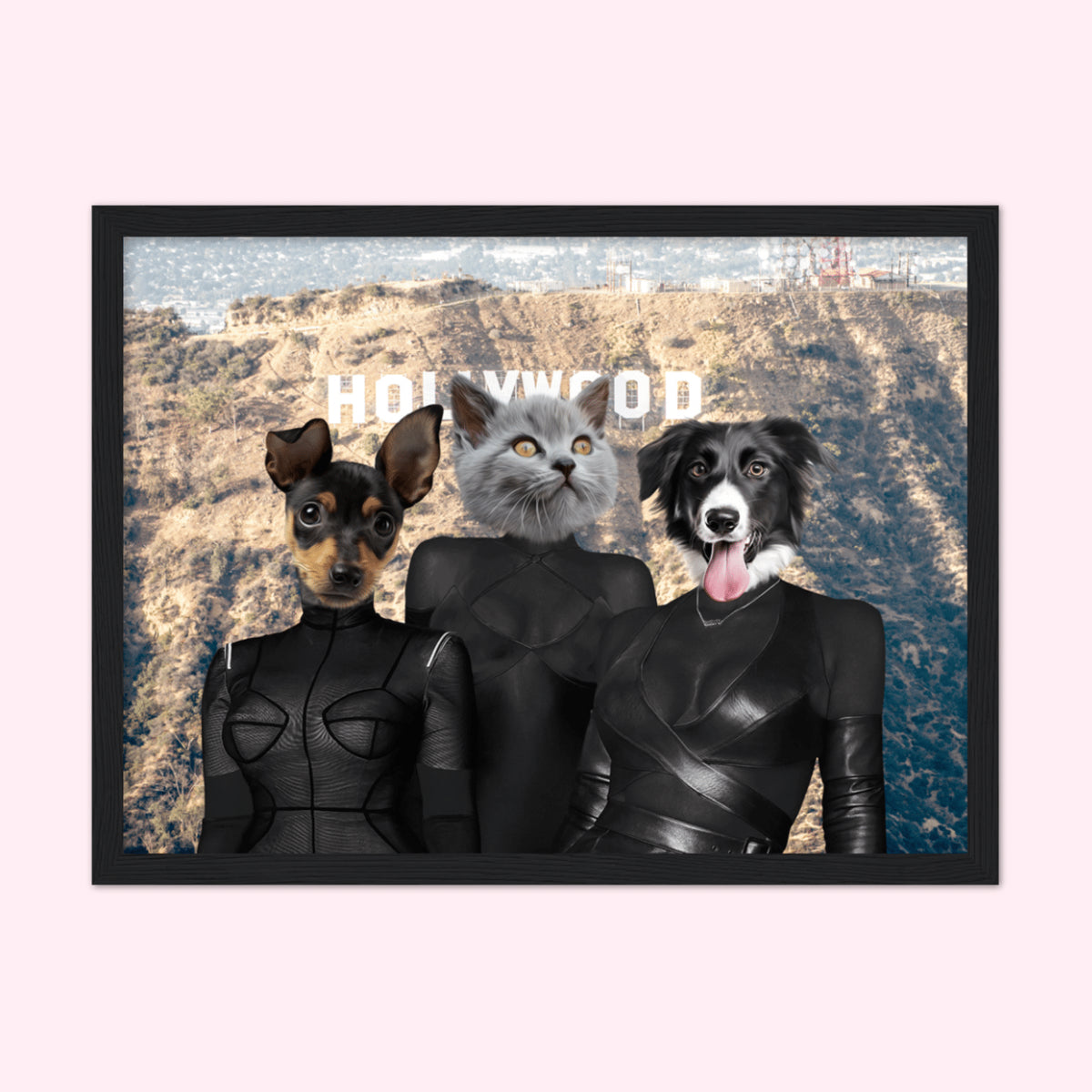 funny dog paintings,  for pet portraits,  painting of your dog,  pet potraits,  professional pet photos,  Crown and paw UK alternative    