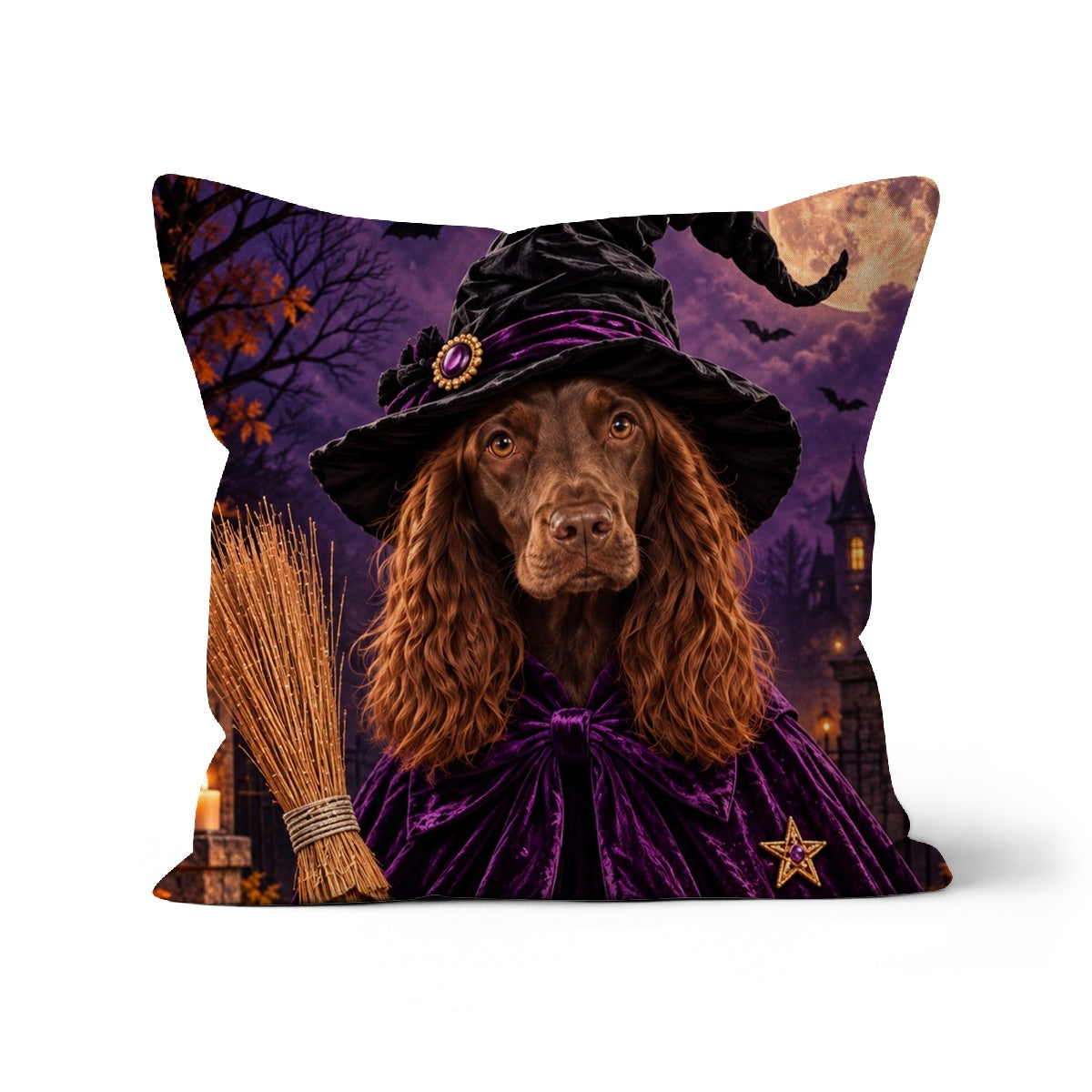 The Witch | Personalised Pet Cushion | Paw & Glory