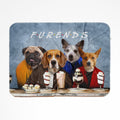 4 Furends: Custom Pet Blanket
