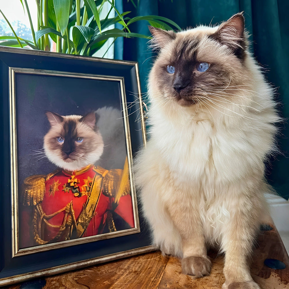 Real cat sitting next to a framed pet portrait of a cat in regal attire.