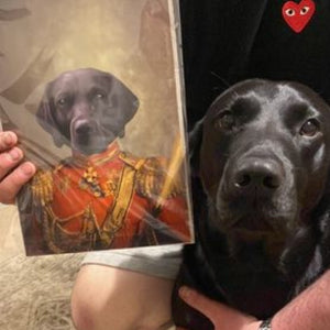 Paw & Glory, pawandglory, nasa dog portrait,  my pet painting, pet portrait admiral, the admiral dog portrait, pet portraits