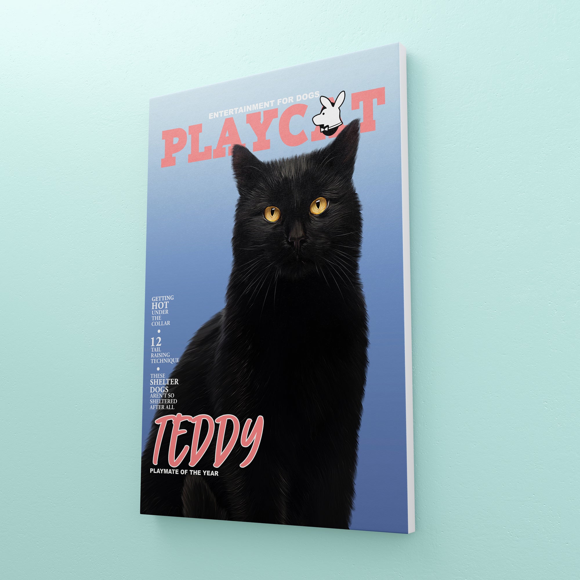 Play Cat: Custom Pet Canvas