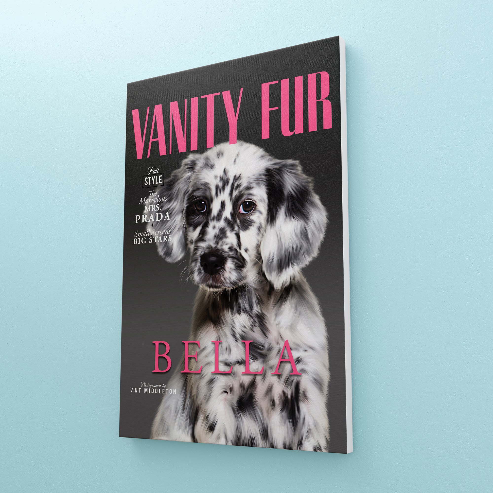 Vanity Fur: Custom Pet Canvas