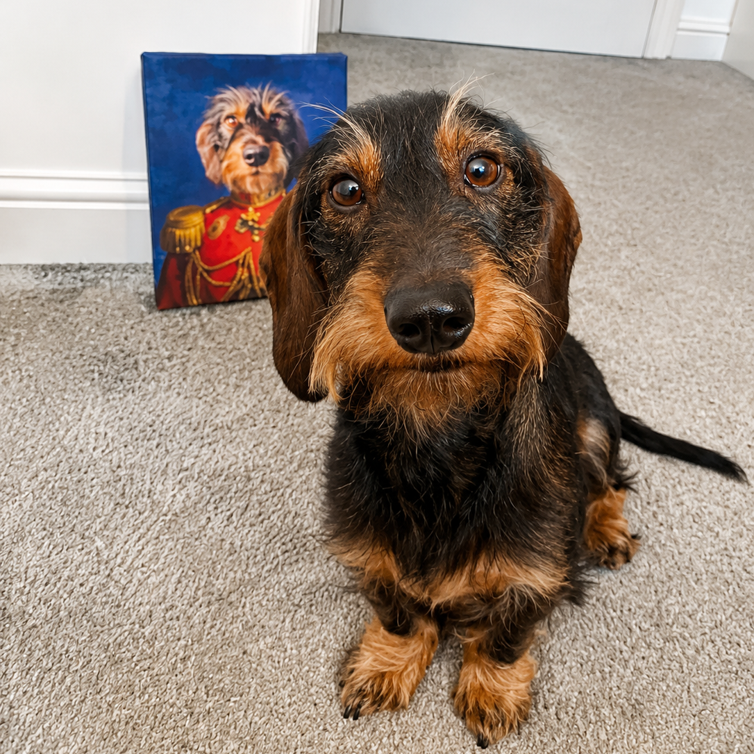 The Duke: Custom Pet Canvas - Paw & Glory - Dog Portraits - Pet Portraits