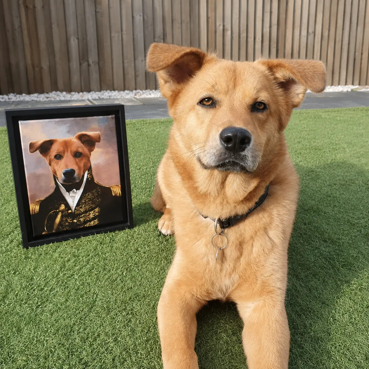 The General: Custom Pet Canvas | Paw & Glory