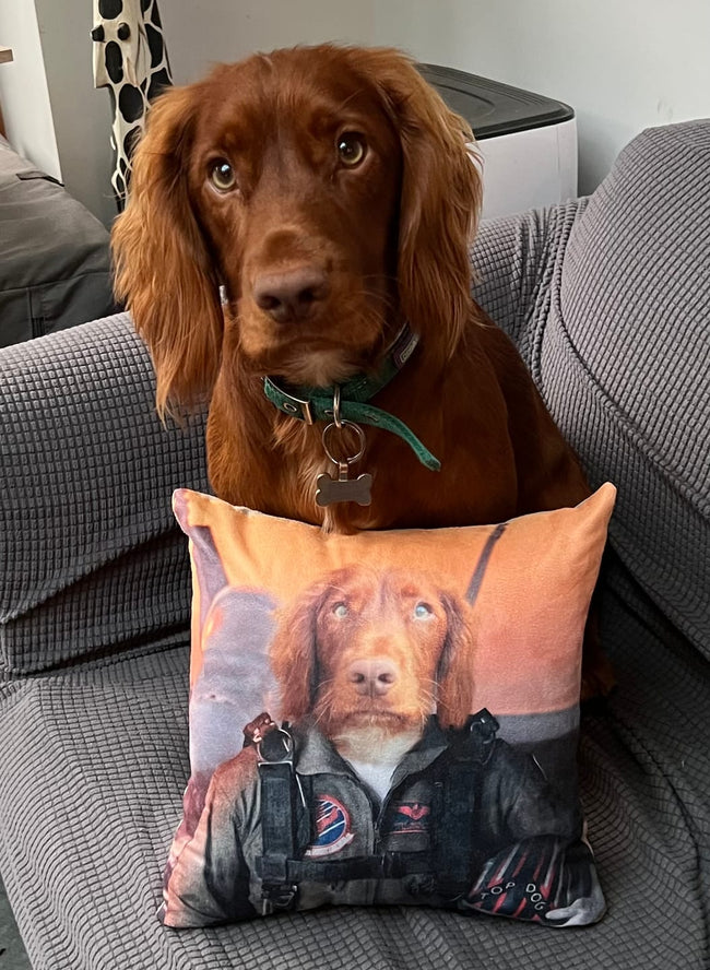 Cushions