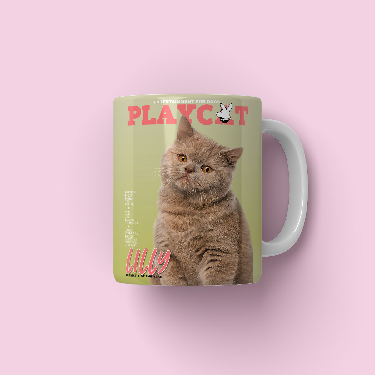 Play Cat: Custom Pet Coffee Mug