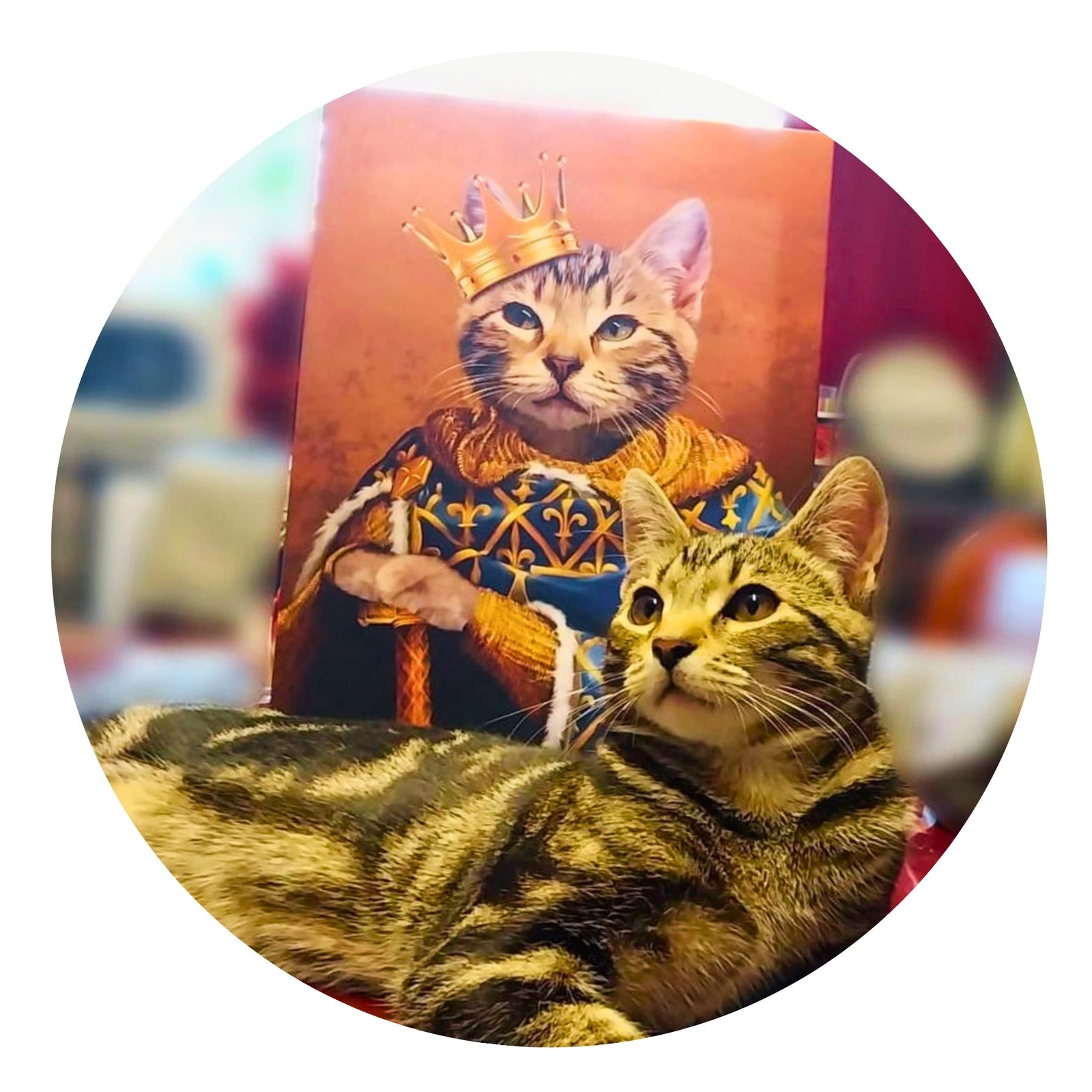 Pet portraits, dog portraits, paw & glory 