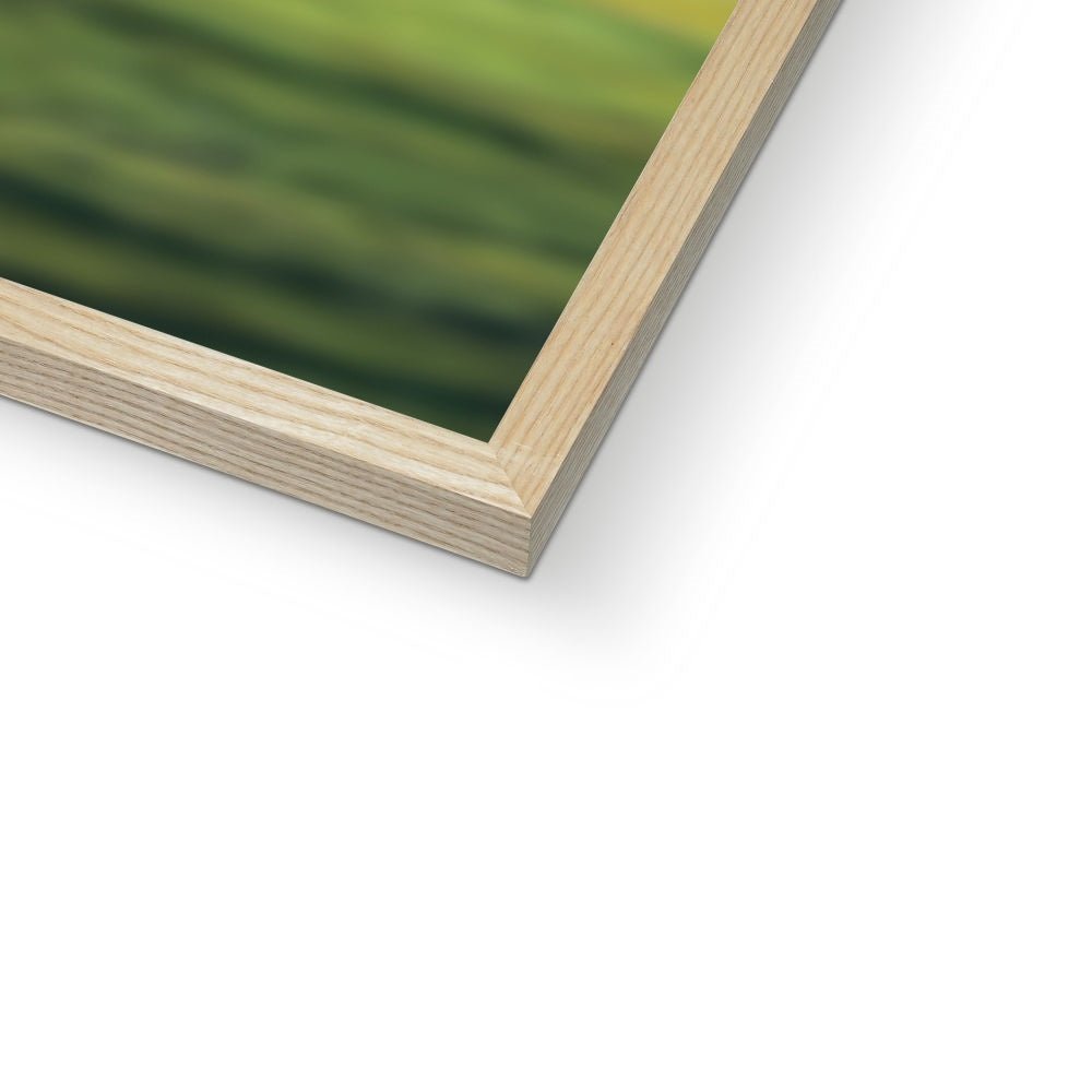 Pet Portraits | Abuela (Encanto Inspired): Custom Pet Portrait | Paw & Glory