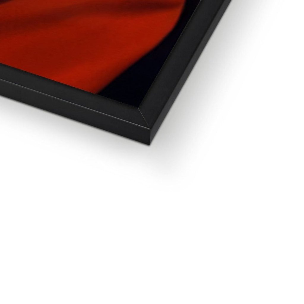 Pet Portraits | Archduke: Custom Pet Portrait | Paw & Glory