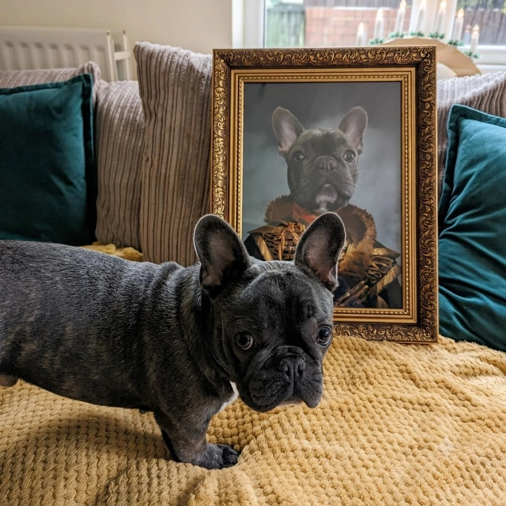 The Colonel: Custom Pet Portrait | Paw & Glory