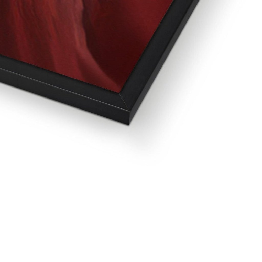 Pet Portraits | Commodore: Custom Pet Portrait | Paw & Glory