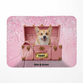 Cotton Candy Pink Luxury Trunk: Custom Pet Blanket