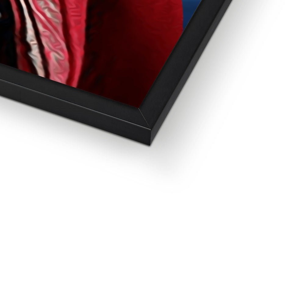 Pet Portraits | Doctor Strange: Custom Custom Pet Portrait | Paw & Glory