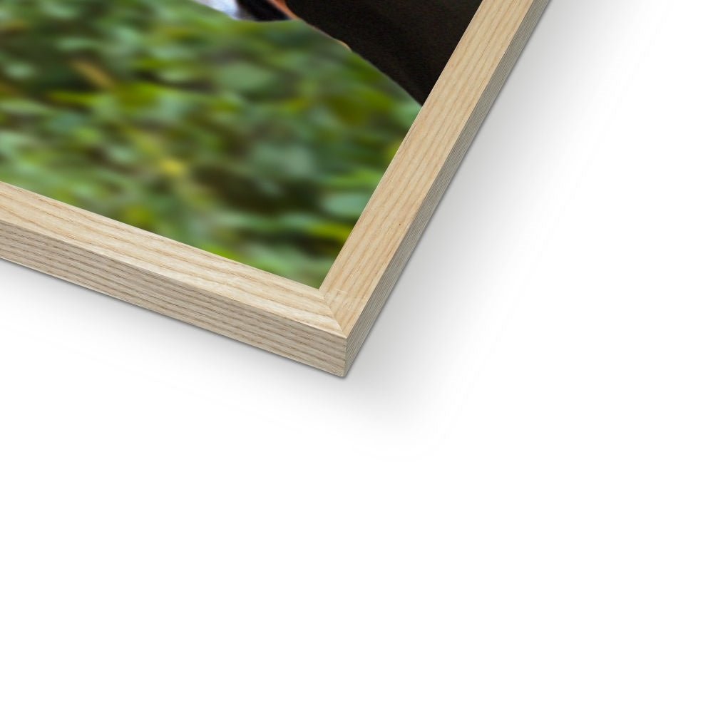 Dr Pawleontologist (Jurassic Park Inspired): Custom Pet Portrait - Paw & Glory - Dog Portraits - Pet Portraits