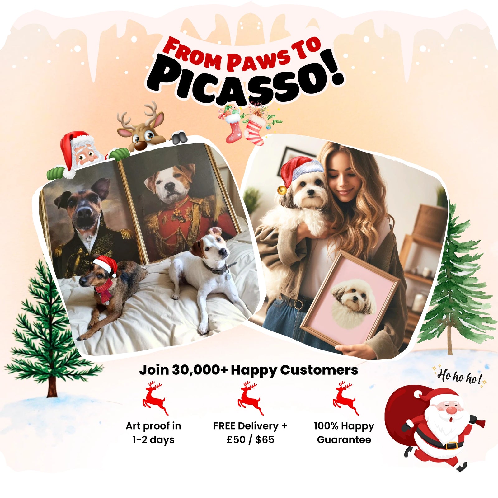 Pet portraits, dog portraits