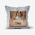 Golden Blush Luxury Trunk: Custom Pet Pillow