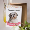 Happy Howlidays Minimalist Christmas Cards