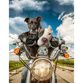 Harley Wooferson: Custom Digital Download Pet Portrait