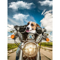 Harley Woofingson 1 Pet: Custom Digital Download Pet Portrait