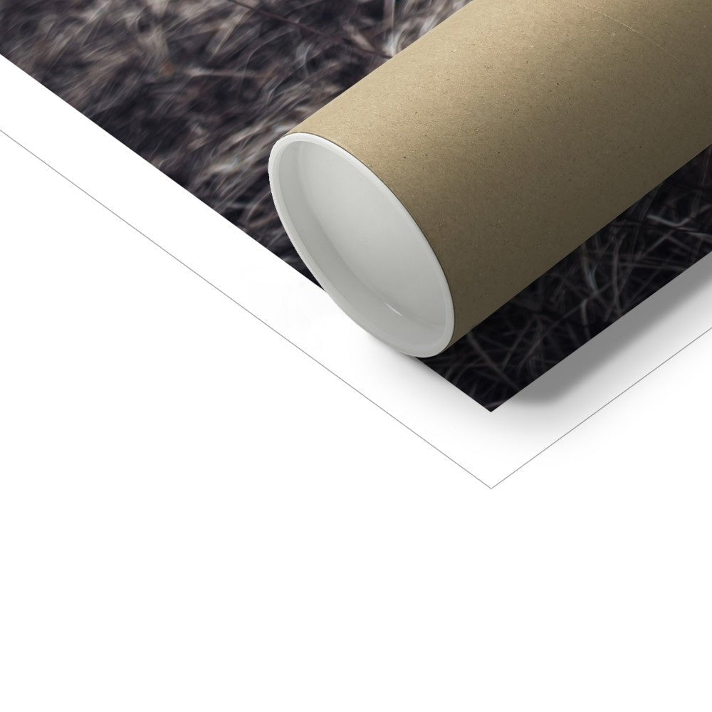 Pet Portraits | Joan Of Ark: Custom Pet Poster | Paw & Glory