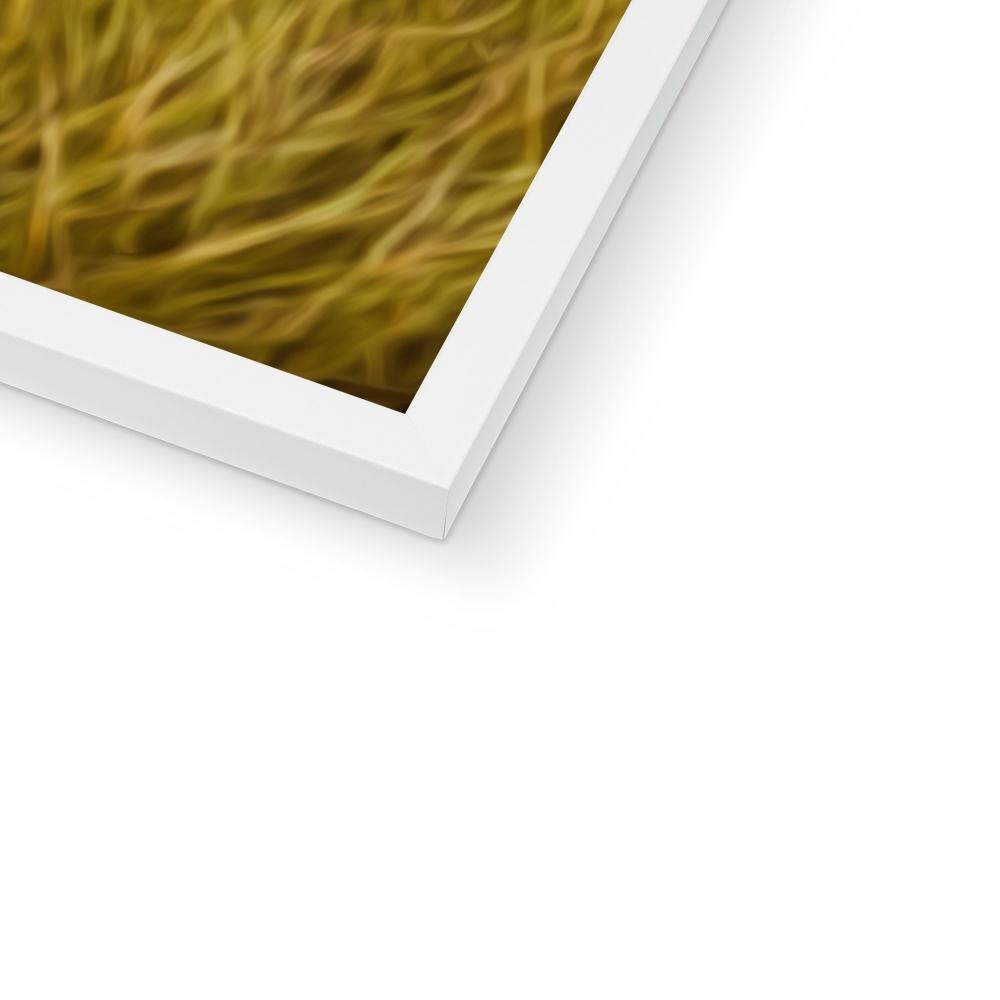 Pet Portraits | Lady Caroline (Poldark Inspired): Custom Pet Portrait | Paw & Glory