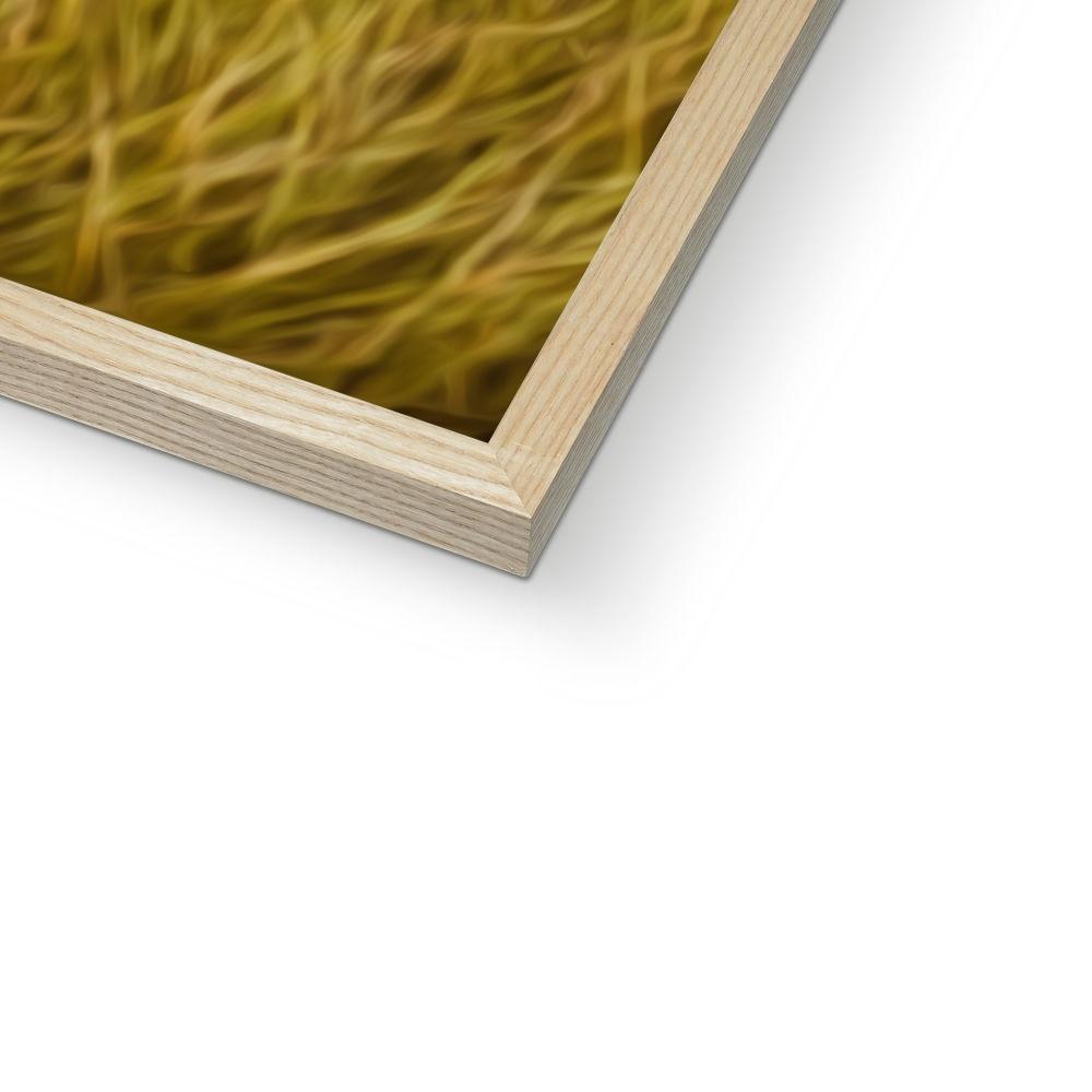 Pet Portraits | Lady Caroline (Poldark Inspired): Custom Pet Portrait | Paw & Glory