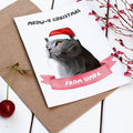 Meowy Christmas Modern Cat Greetings Cards