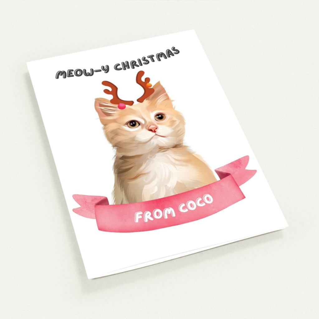 Pet Portraits | Meowy Christmas Modern Cat Greetings Cards | Paw & Glory