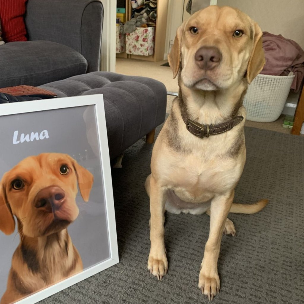 Pet Portraits | Minimalist: Custom Pet Poster | Paw & Glory