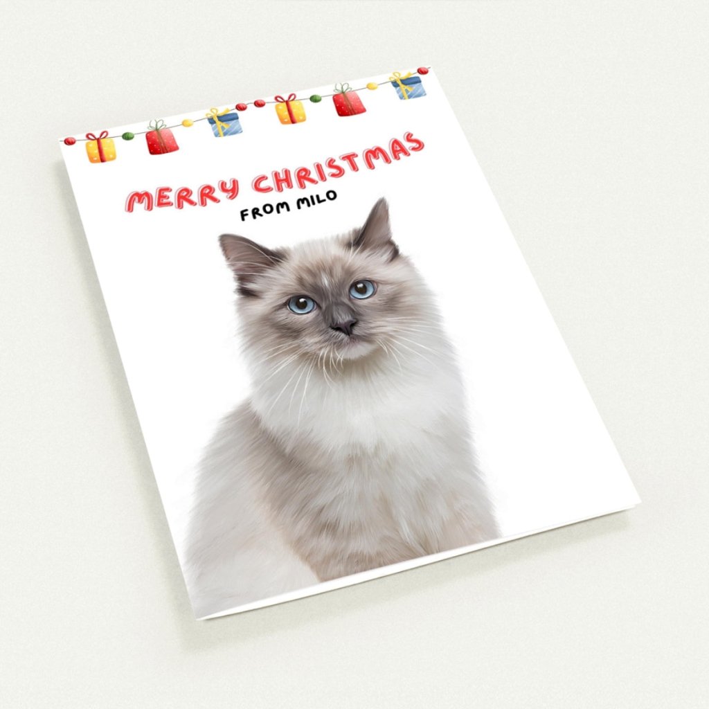 Pet Portraits | Minimalist Pet Christmas Cards | Paw & Glory