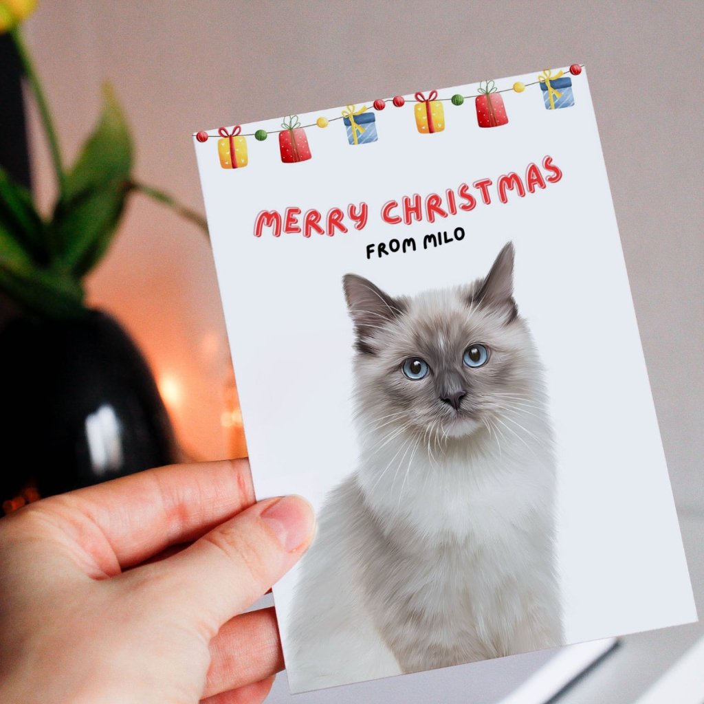 Pet Portraits | Minimalist Pet Christmas Cards | Paw & Glory