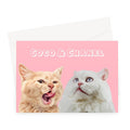 Modern: Custom 2 Pet Greeting Card