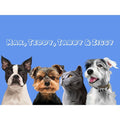 Modern: Custom Digital Download Four Pet Portrait (Half Body)