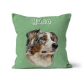 Modern: Custom One Pet Pillow